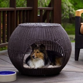 Dome Dog Bed - Foter