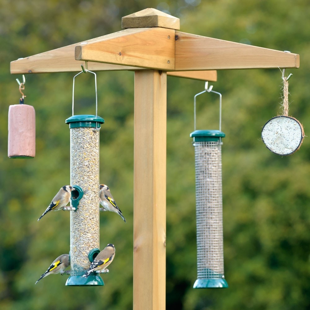 Free standing bird feeder 1