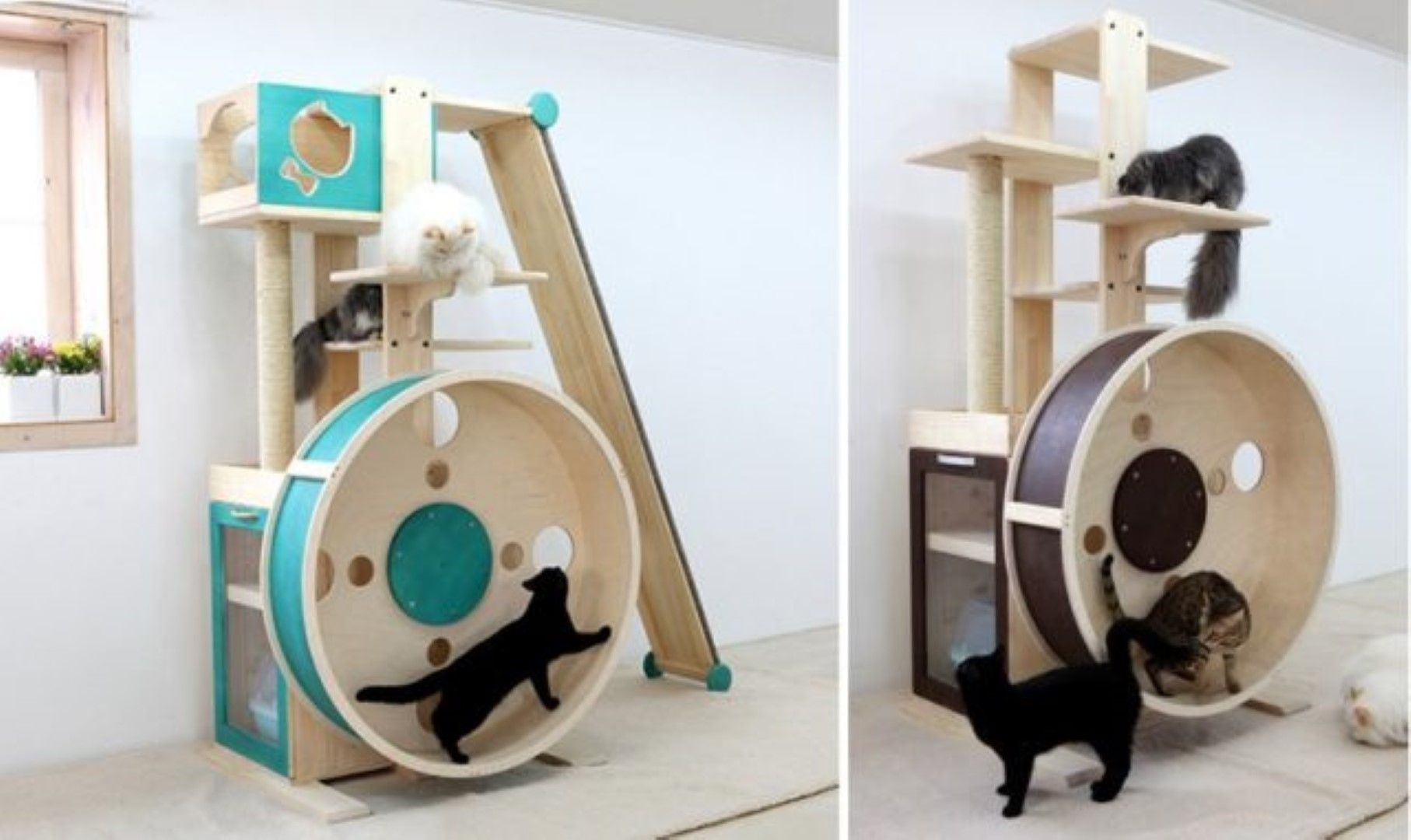 oversized cat tree