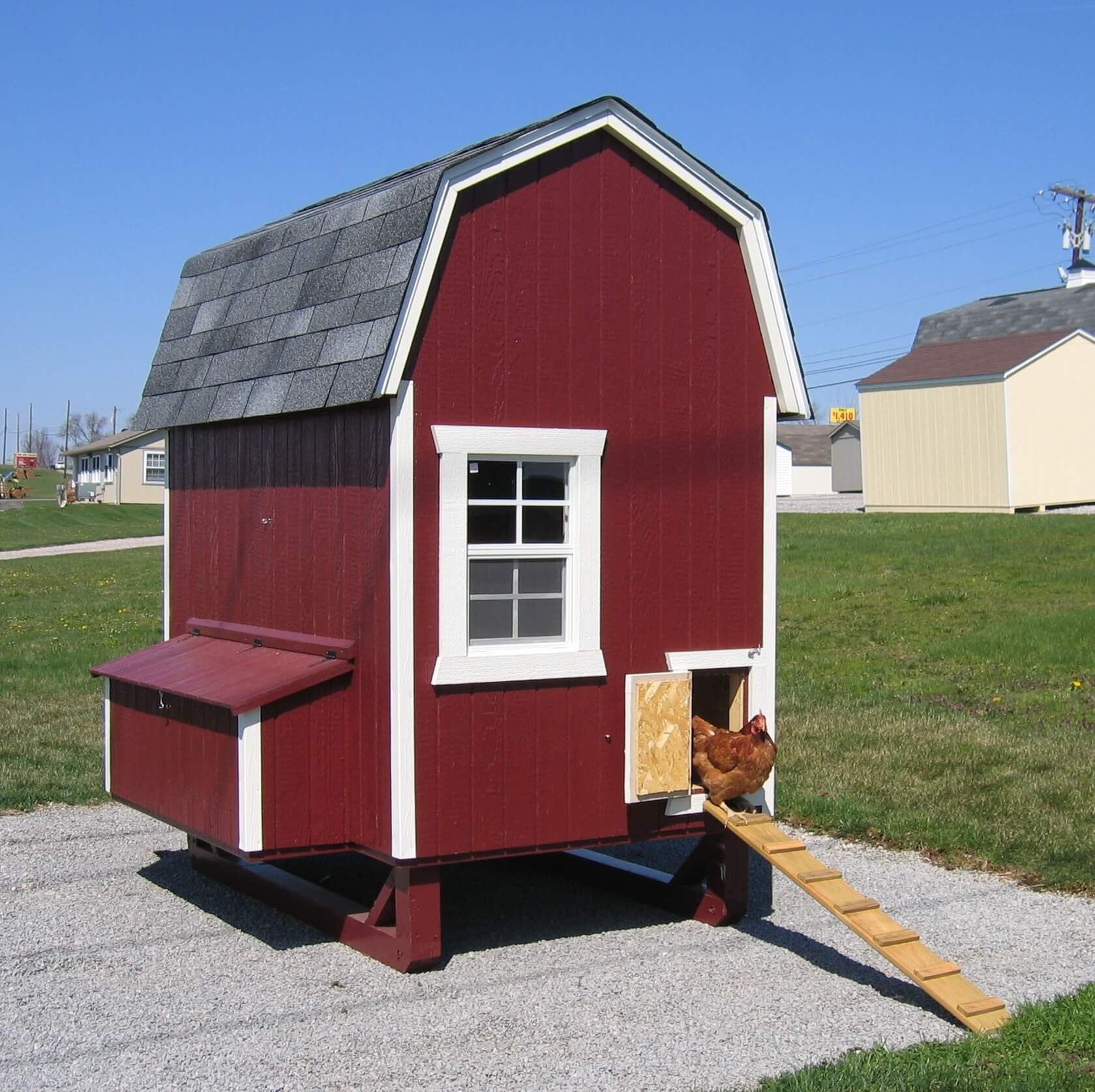 Chicken Coop Kits Sale - Large Chicken Coop Kits For Sale