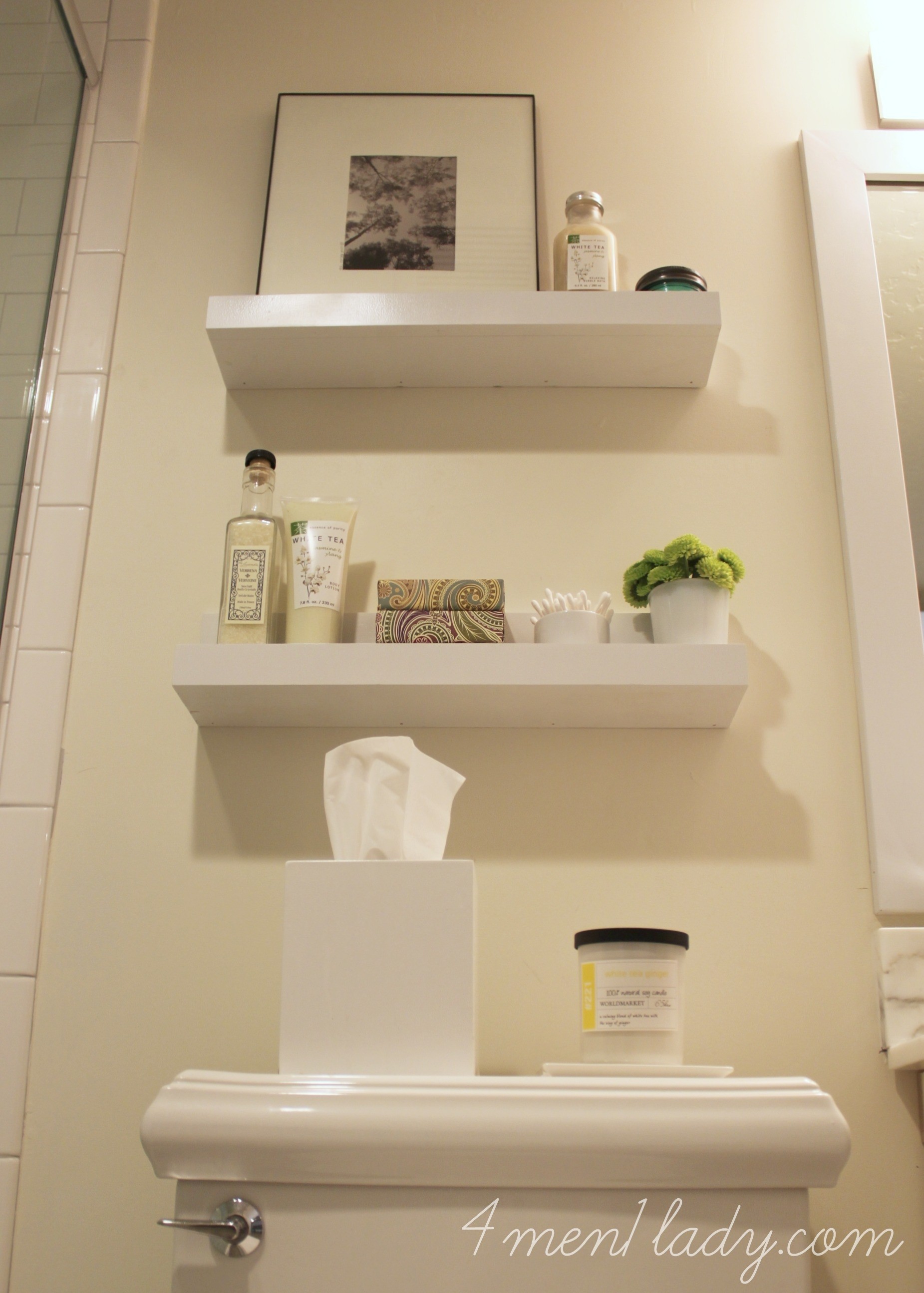 Shelves above toilet