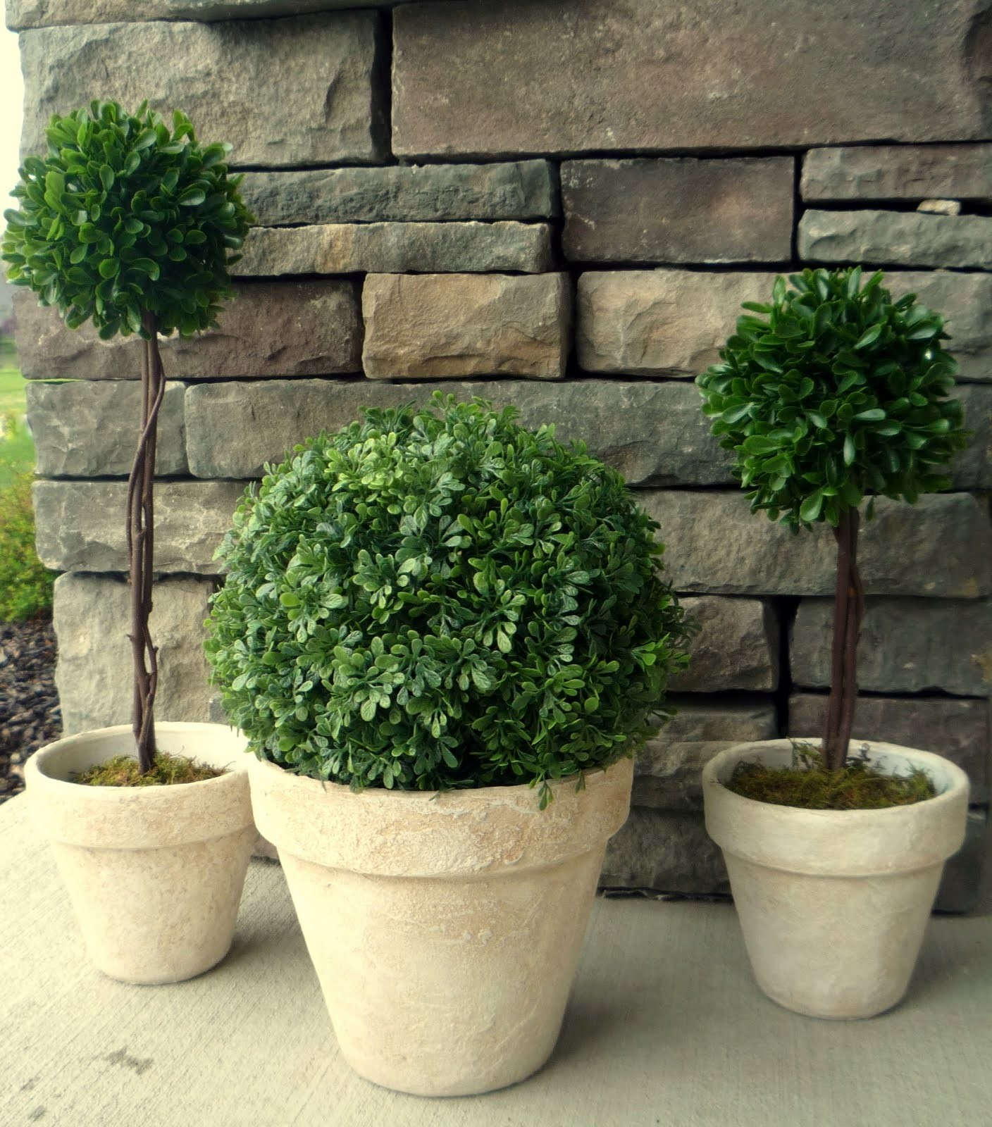 Topiaries for front porch 1