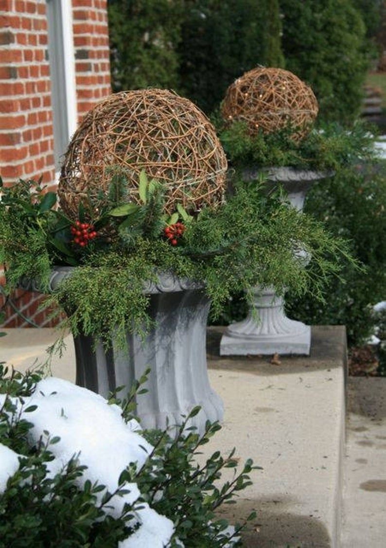 Topiaries for front porch 15