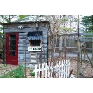 Chicken Coops For Sale Ideas On Foter