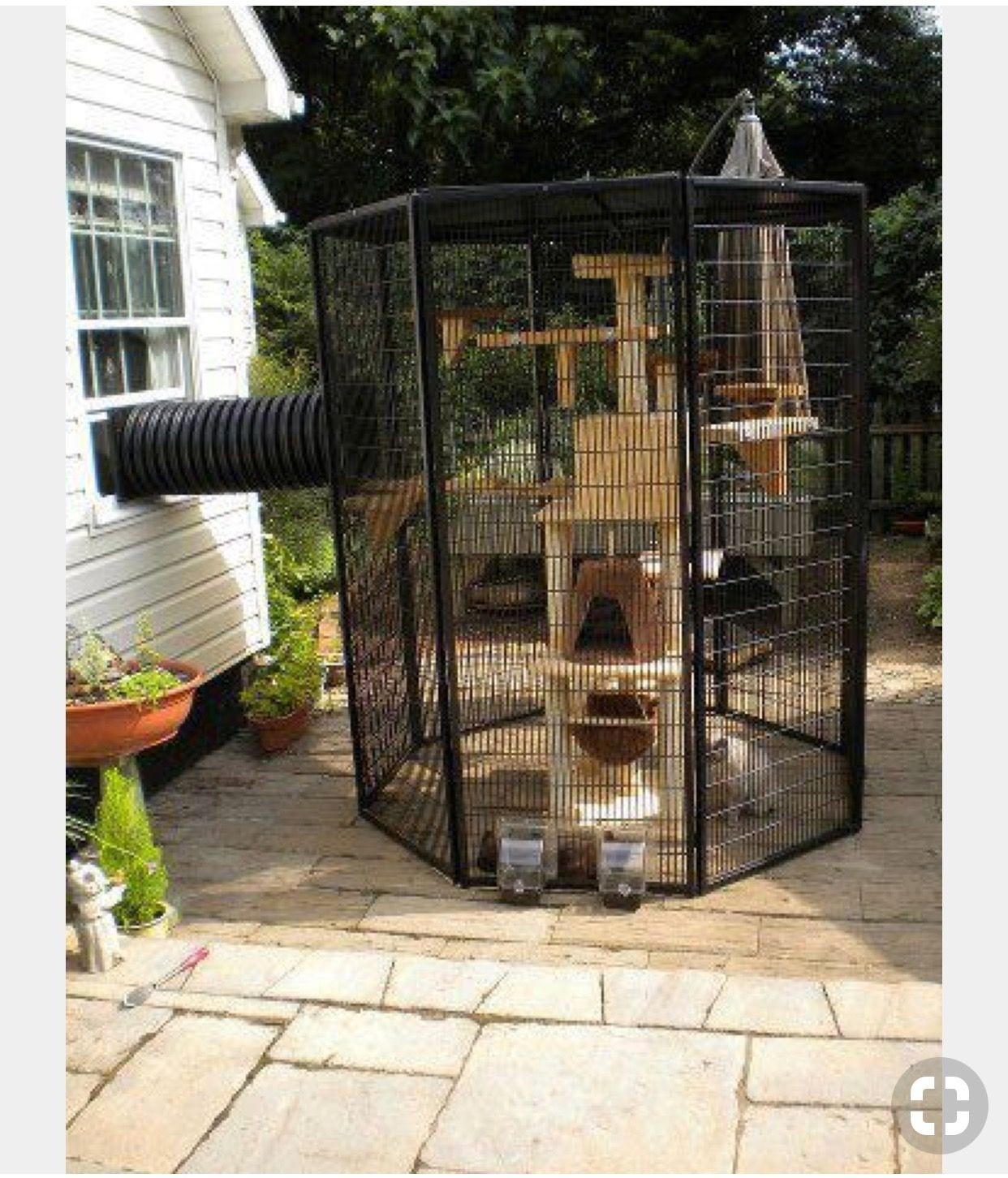 Kittens cage clearance indoor