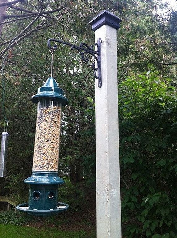 Bird feeder stands 1