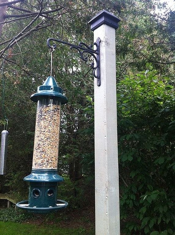 metal bird feeder stand