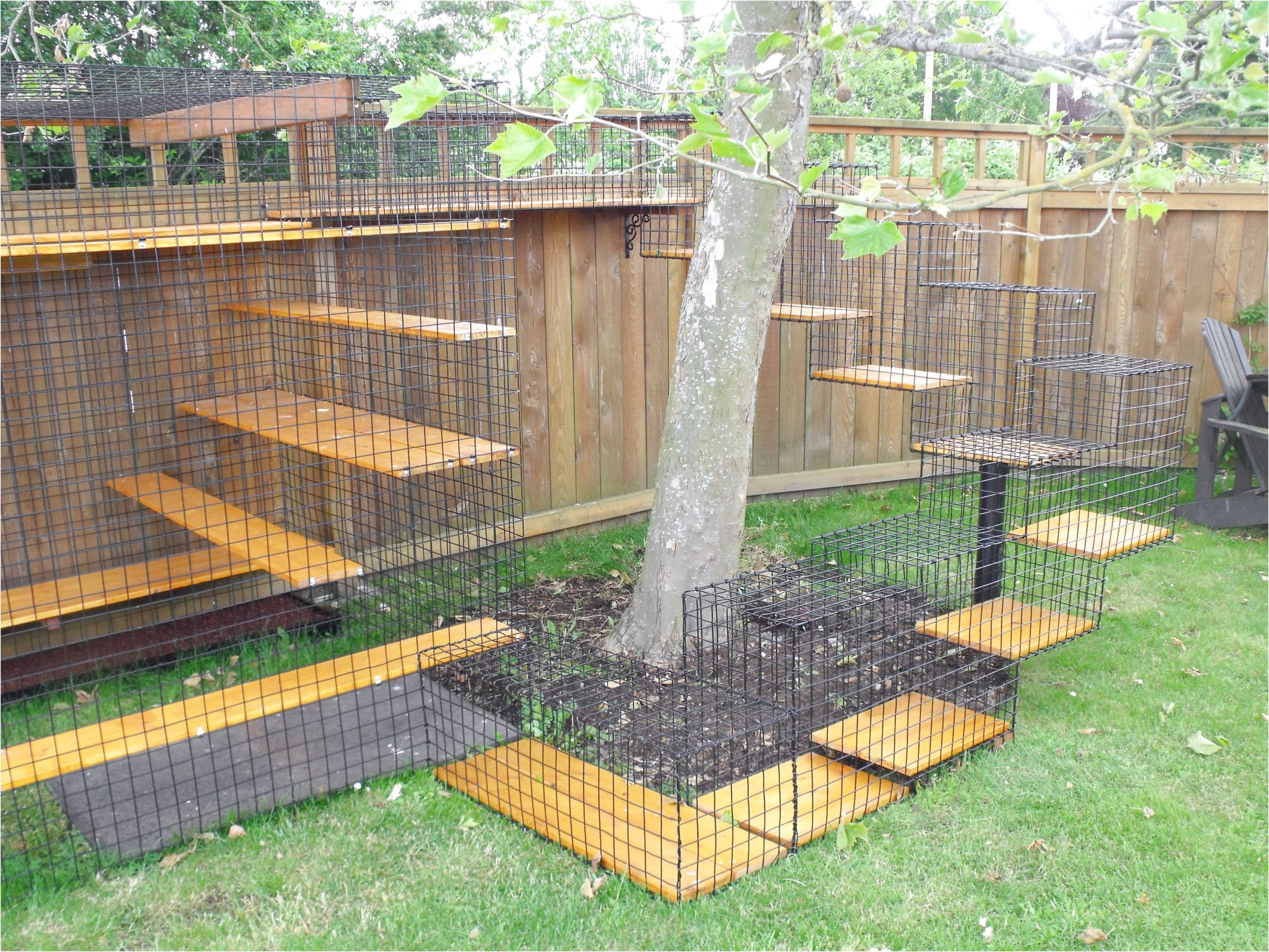 Indoor Cat Cages Enclosures - Ideas on Foter