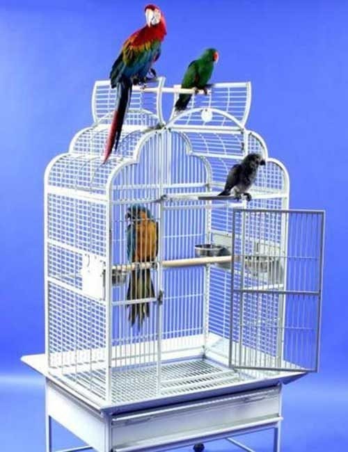 Dome top bird cage 29