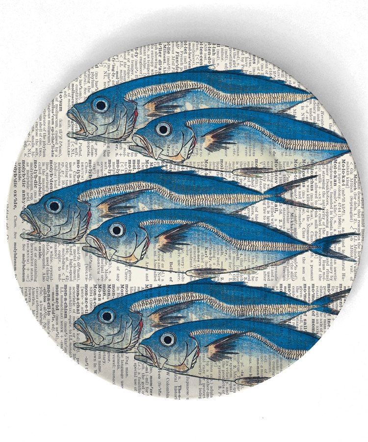 Fish 6 fish on 10 inch melamine plate