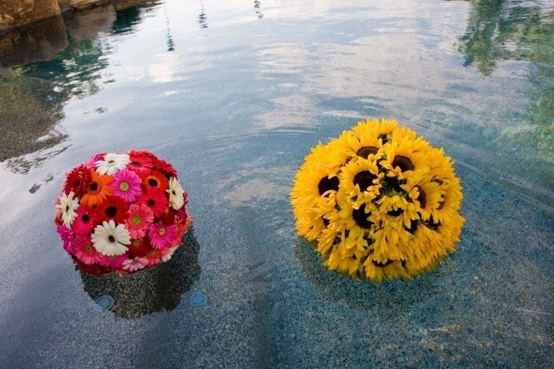 Flowers in pool