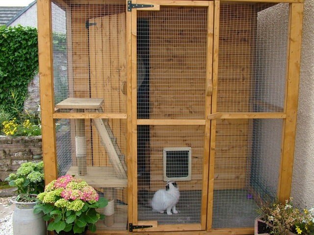 Indoor cat cage