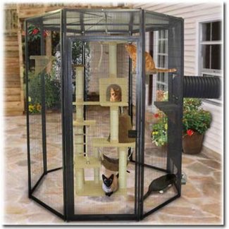 Indoor Cat Cages Enclosures - Foter