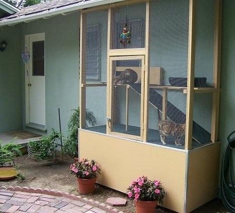 indoor screen door for cats