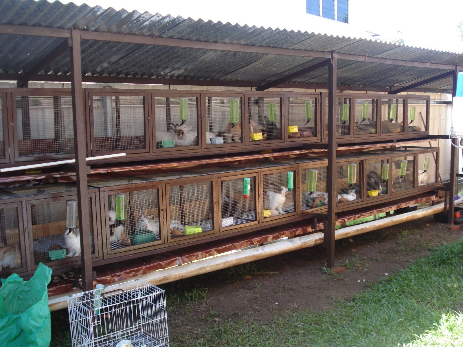 large indoor bird cage