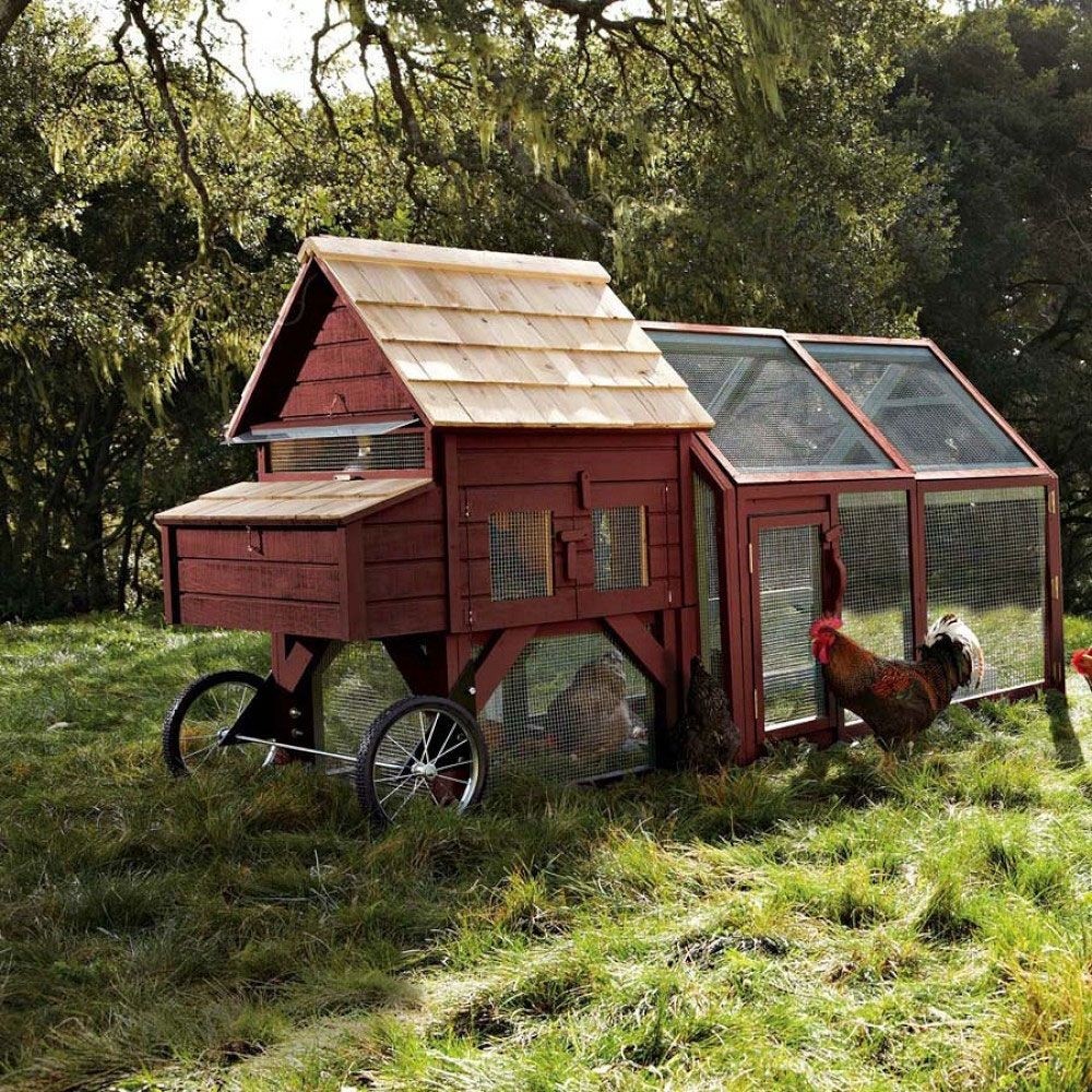 Chicken Coop Kits Sale Ideas On Foter 