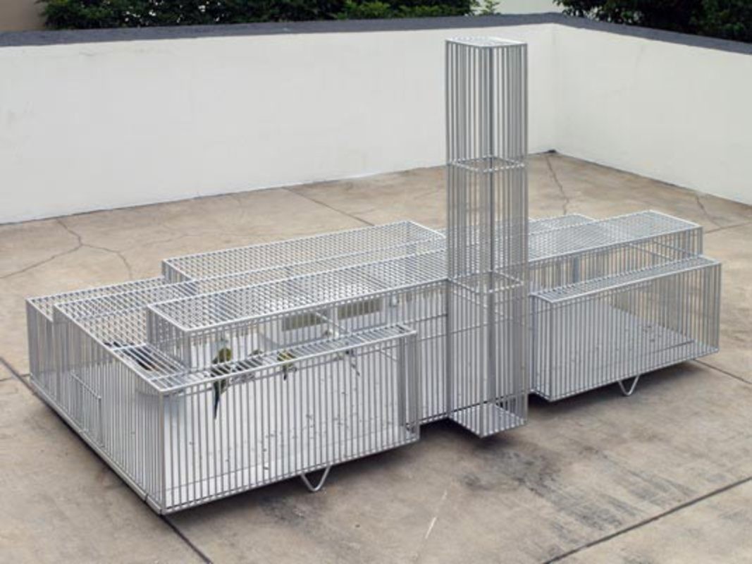 Modern bird cages 10