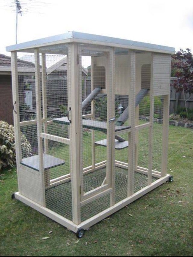 Outdoor Cat Playpen - Ideas on Foter