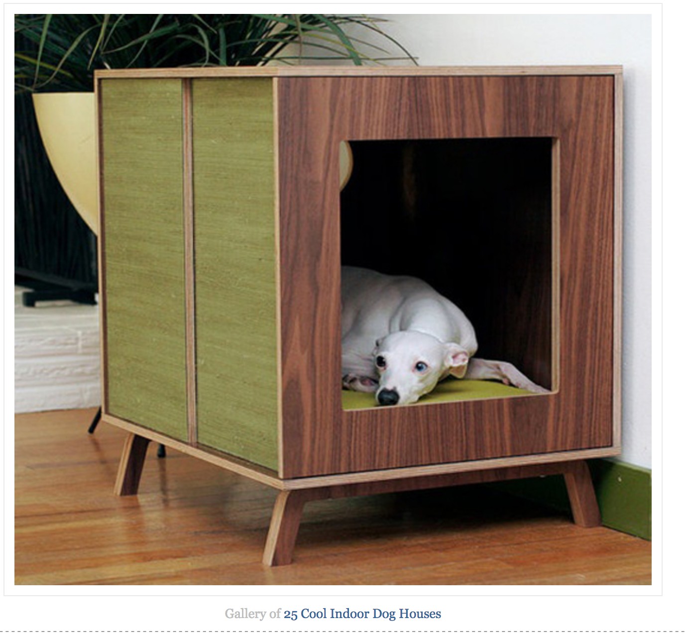 designer dog crates