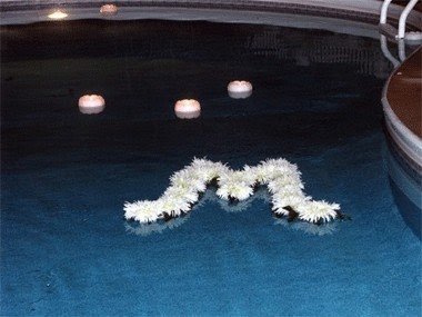 Swimming pool wedding decoration ideas
