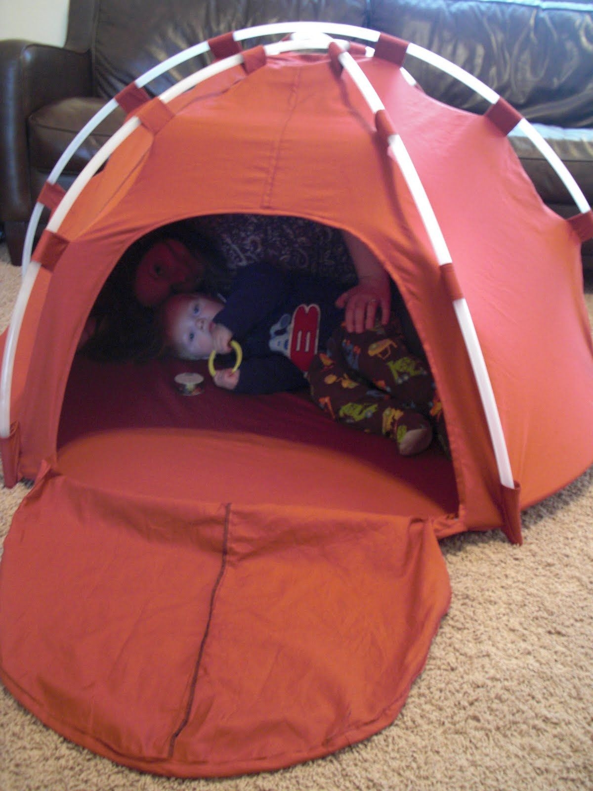 Pet Tent Bed - Foter