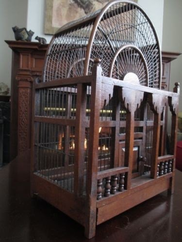 massive bird cage