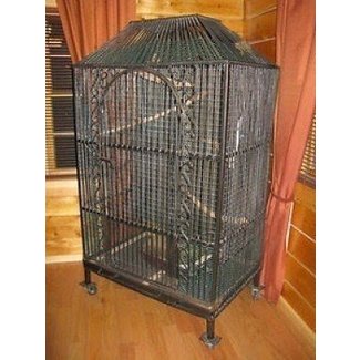 Iron Bird Cages Ideas On Foter