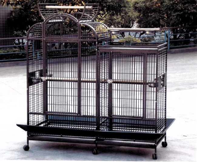 Bird cages with dividers