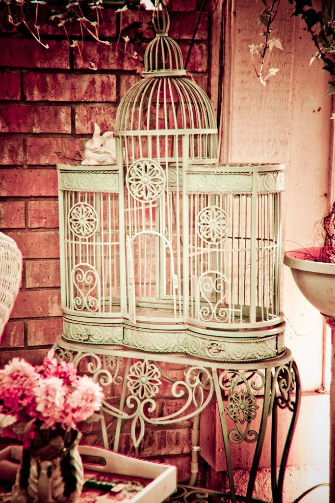 Decorative wrought iron bird cages