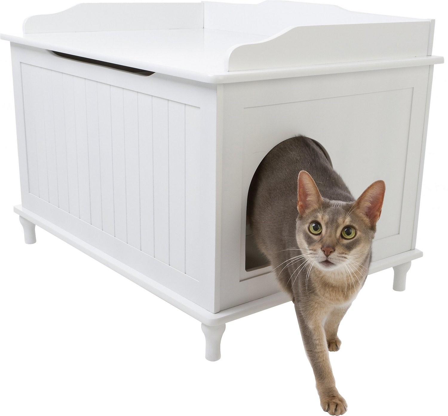 Extra large litter box with clearance cover