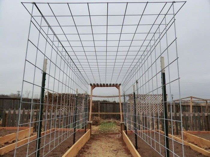 Tall Garden Trellis - Foter