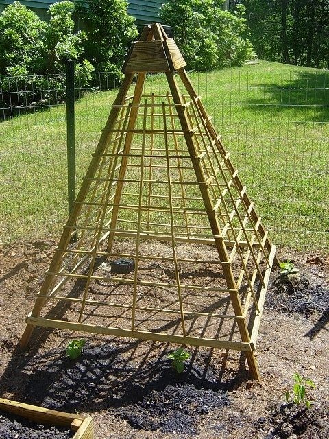 Tall Garden Trellis - Foter