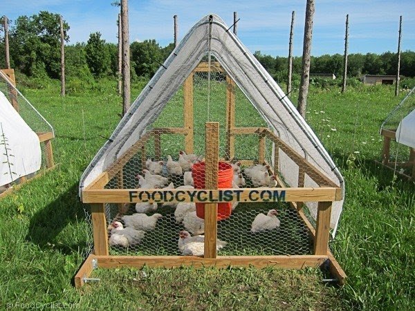  Chicken Tractor For Sale - Foter