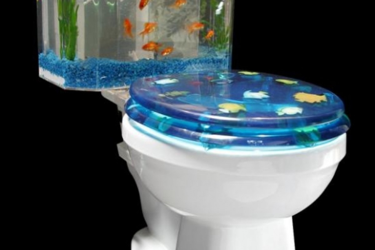 Aquarium Toilet Seat - Ideas on Foter