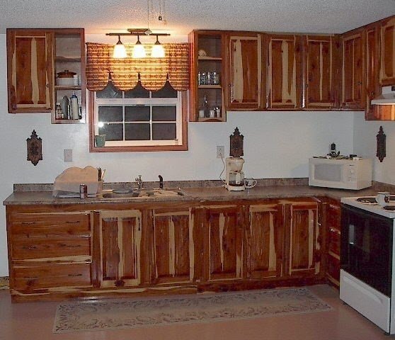 Cedar kitchen cabinets 1