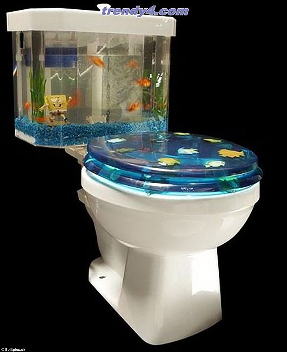 fish toilet seat