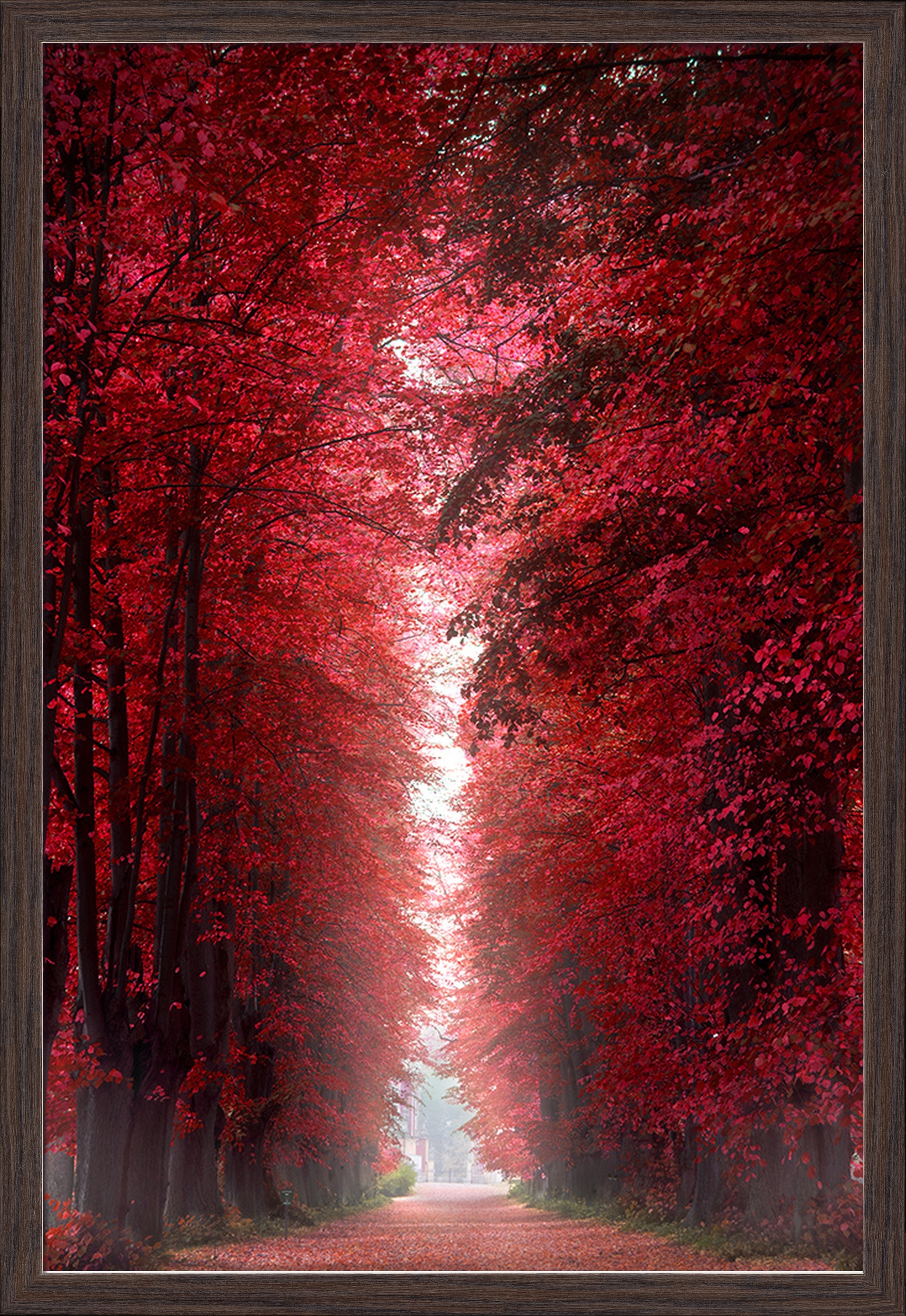 Red Trees Painting Foter