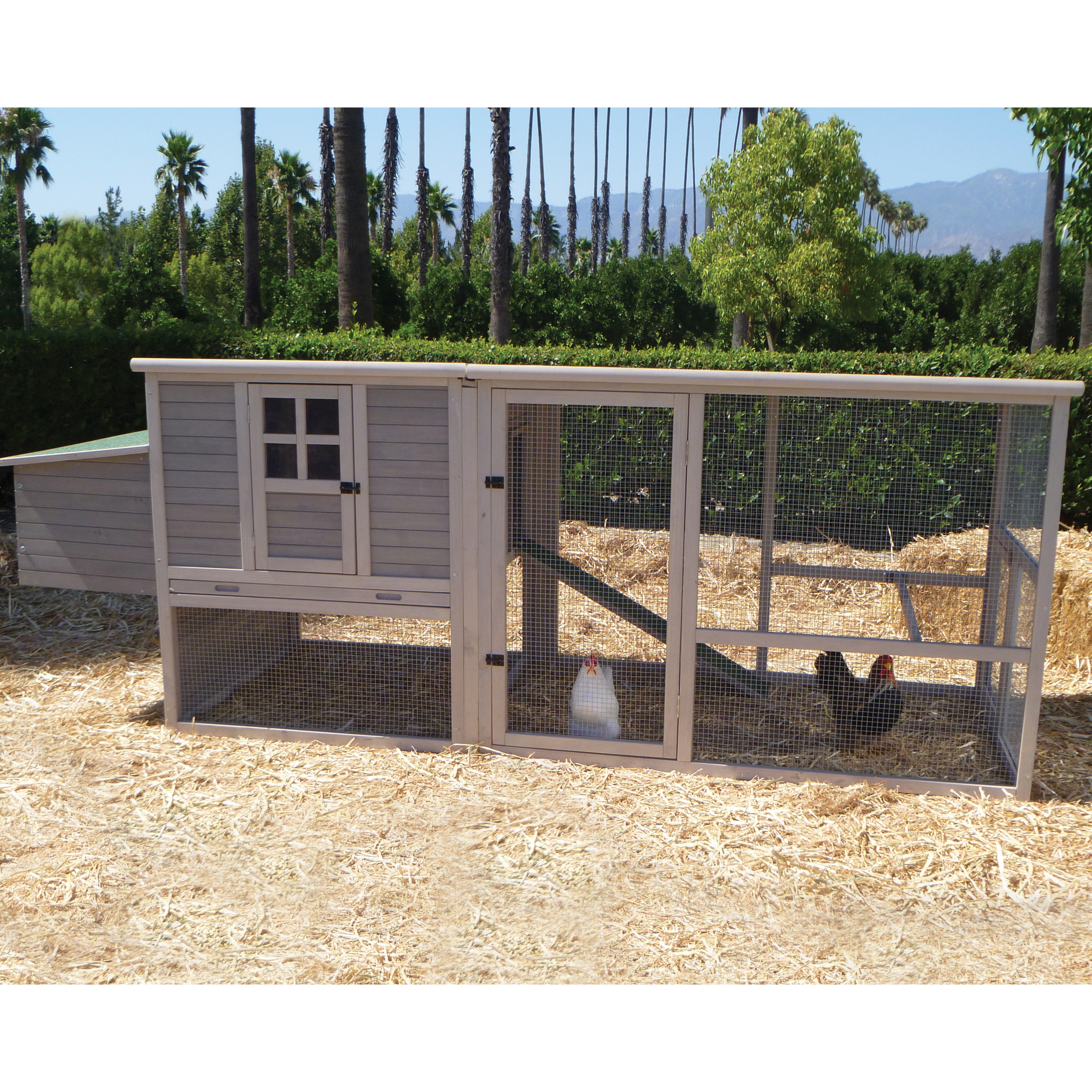Chicken coops for sale 4