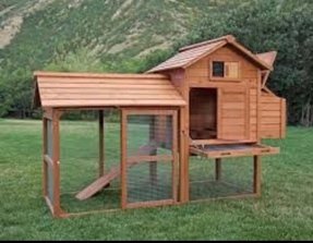 Chicken Coops For Sale Ideas On Foter