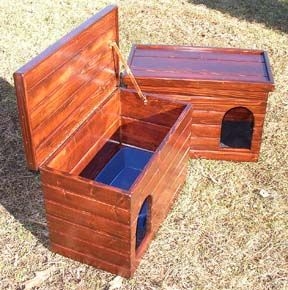 Elevated litter box