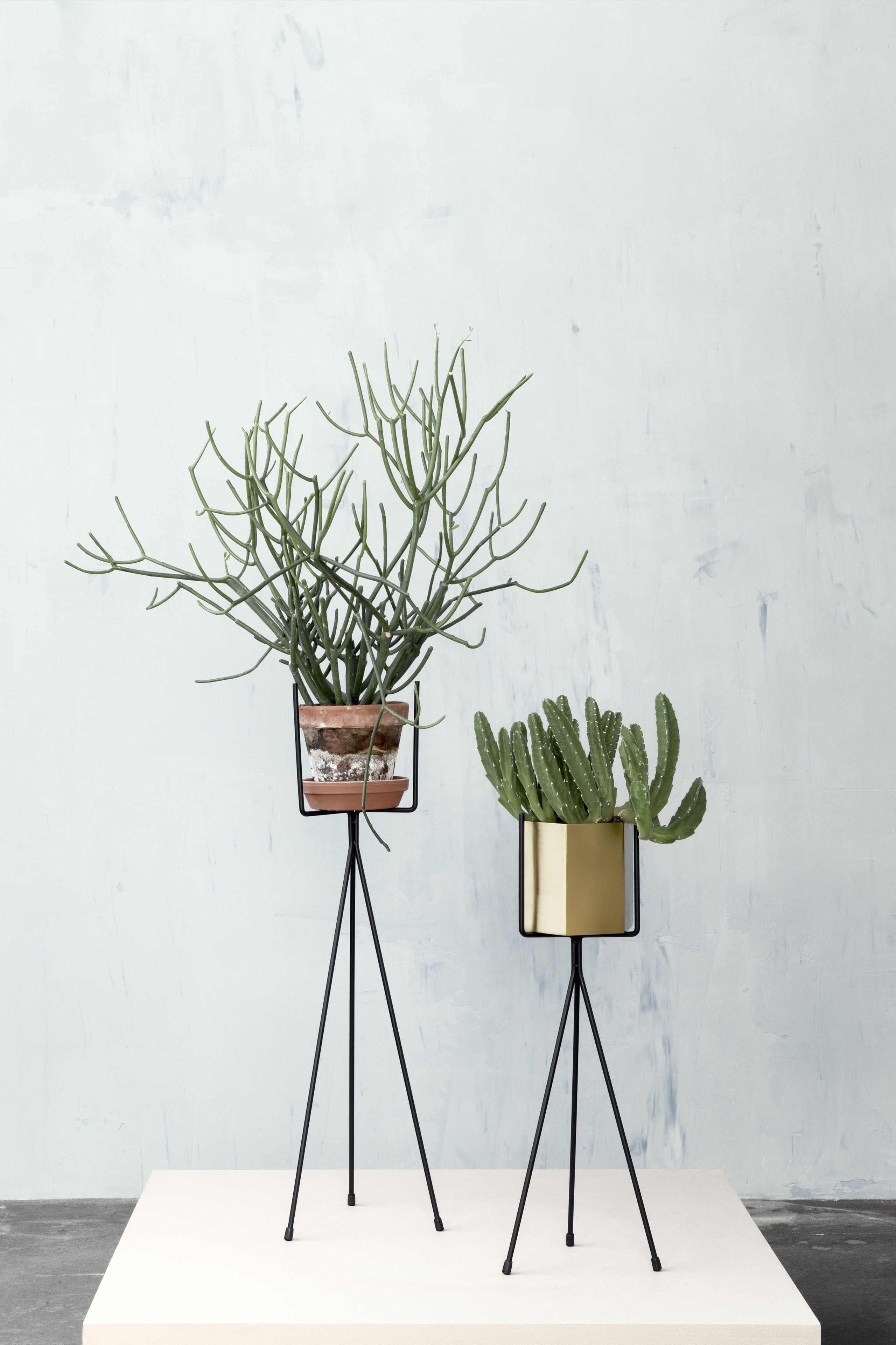 Interior plant stands