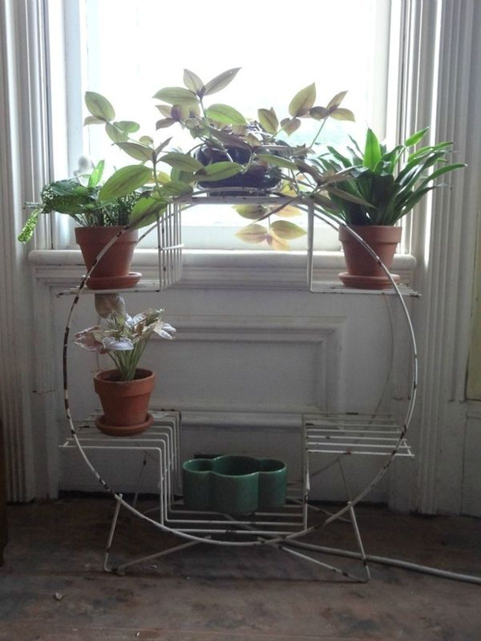 Magical plant stands
