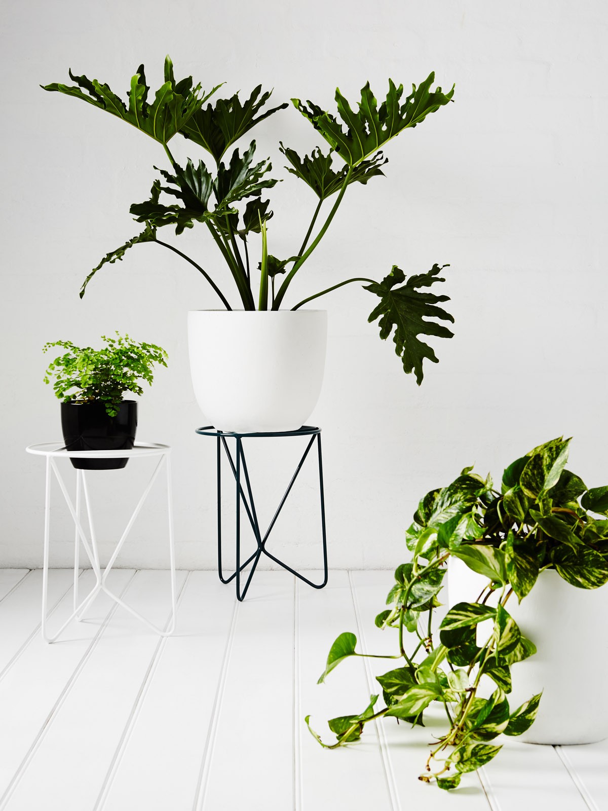 Plant stands indoor cheap