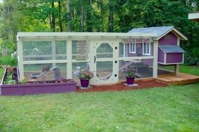 Chicken Coops For Sale Ideas On Foter