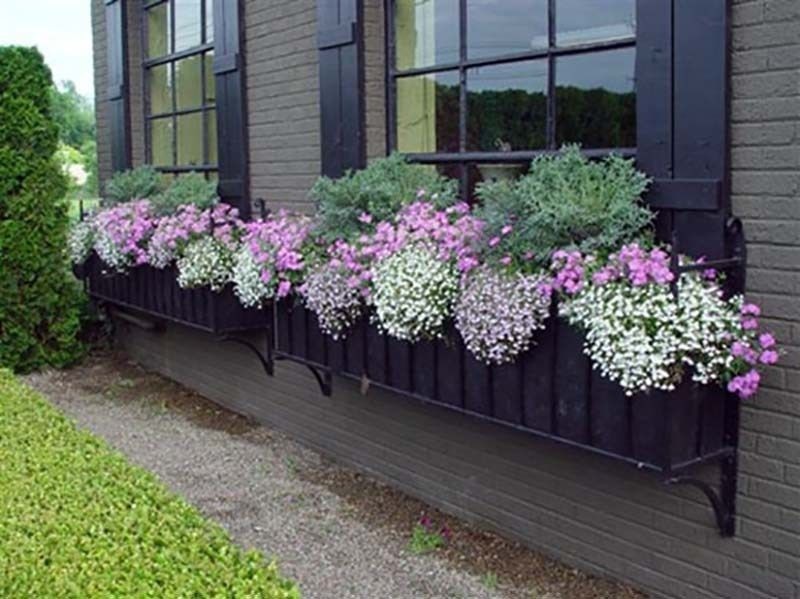 Wrought iron window planters
