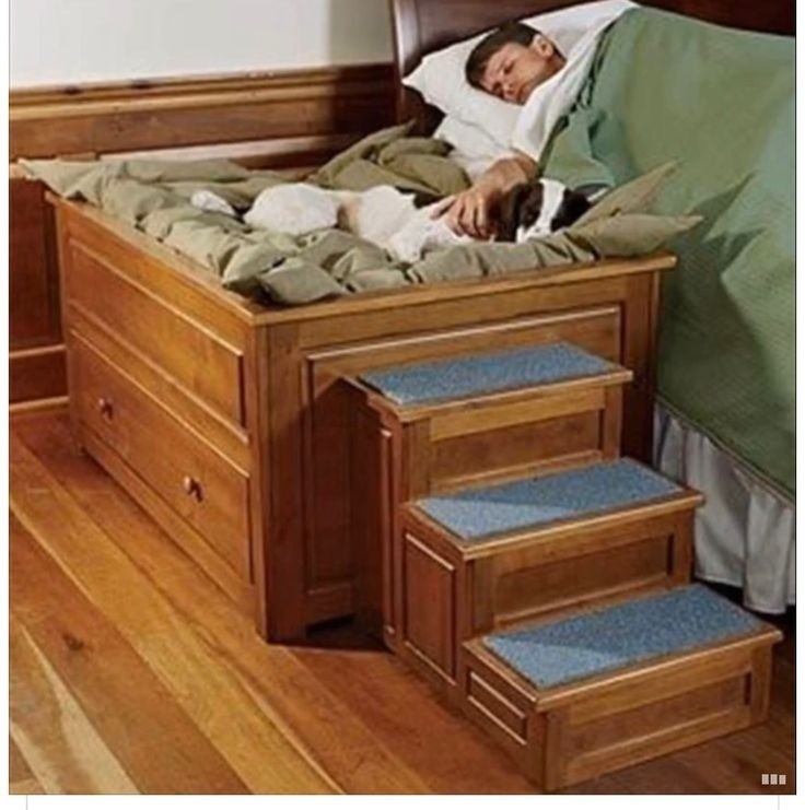 Bed stairs for large dogs sale