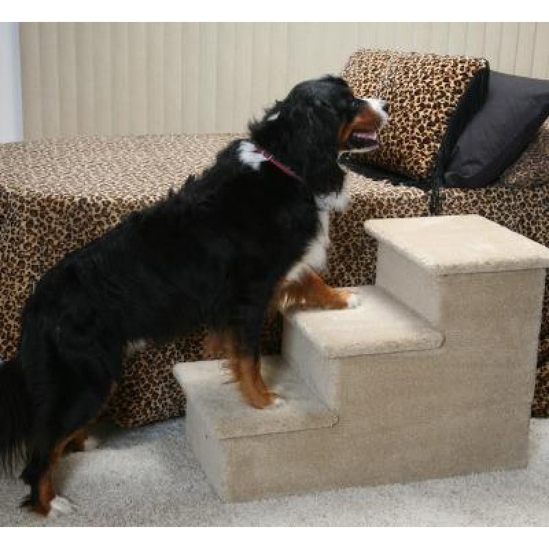 large breed puppies and stairs