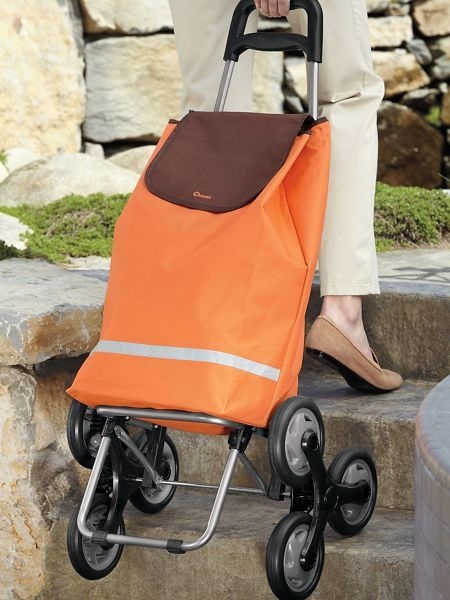 small tote on wheels