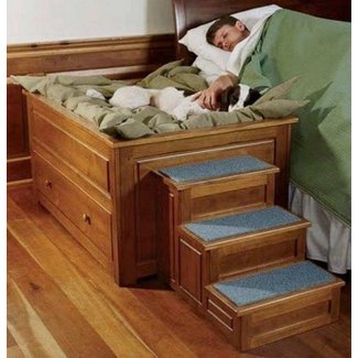 Dog Stairs For High Bed Ideas On Foter