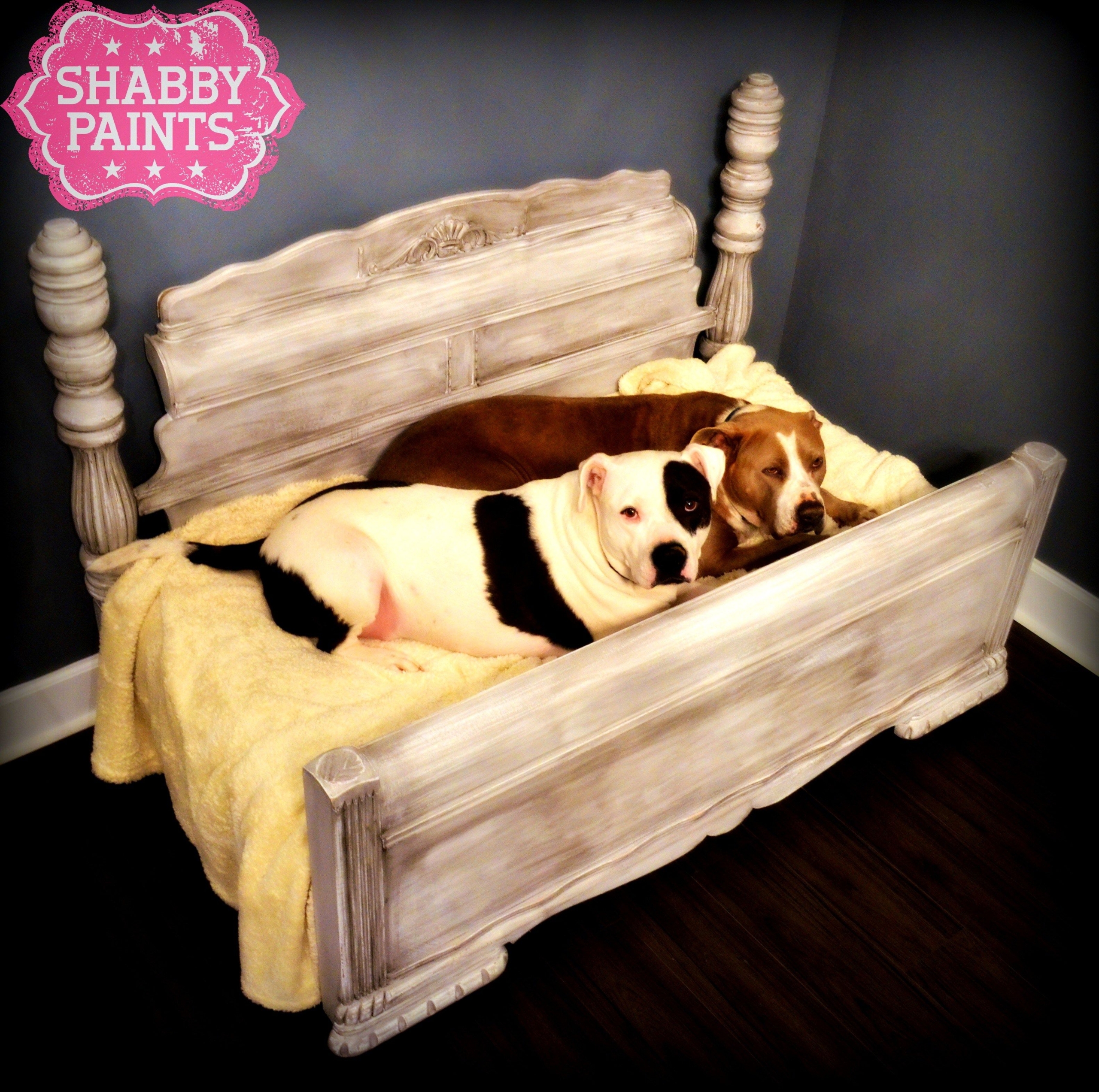 queen bed frame with dog bed